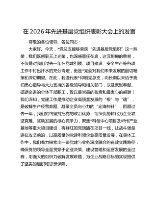 在2026年先进基层党组织表彰大会上的发言