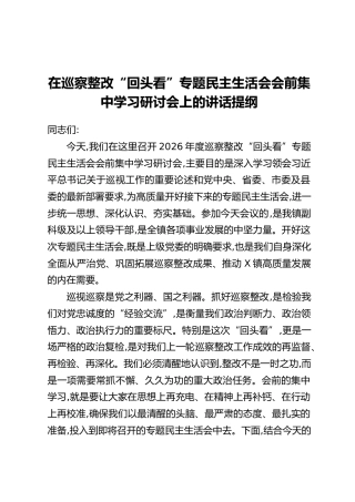 在巡察整改“回头看”专题民主生活会会前集中学习研讨会上的讲话提纲
