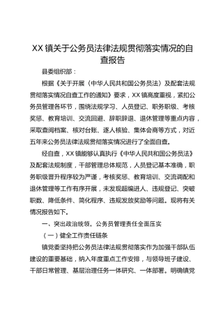 乡镇《公务员法》及其配套法规贯彻落实情况自查报告