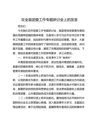 在全县团委工作专题研讨会上的发言