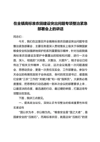 在全镇高标准农田建设突出问题专项整治紧急部署会上的讲话_1