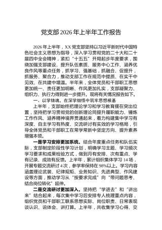 党支部2026年上半年工作报告