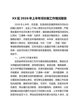 XX区2026年上半年河长制工作情况报告