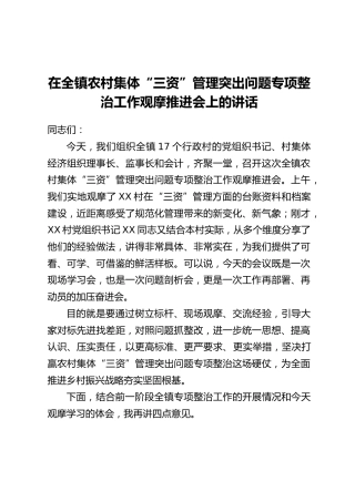 在全镇农村集体“三资”管理突出问题专项整治工作观摩推进会上的讲话