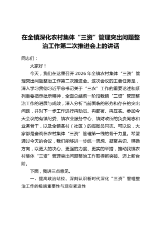 在全镇深化农村集体“三资”管理突出问题整治工作第二次推进会上的讲话