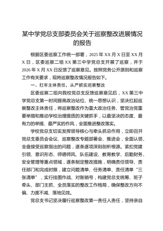 某中学党总支部委员会关于巡察整改进展情况的报告