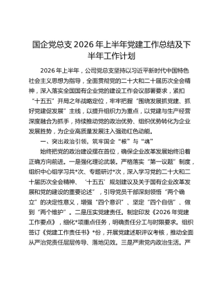 国企党总支2026年上半年党建工作总结及下半年工作计划
