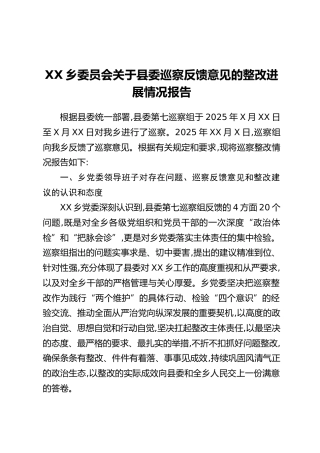 XX乡委员会关于县委巡察反馈意见的整改进展情况报告