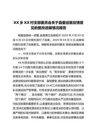 XX乡XX村支部委员会关于县委巡察反馈意见的整改进展情况报告 (2)