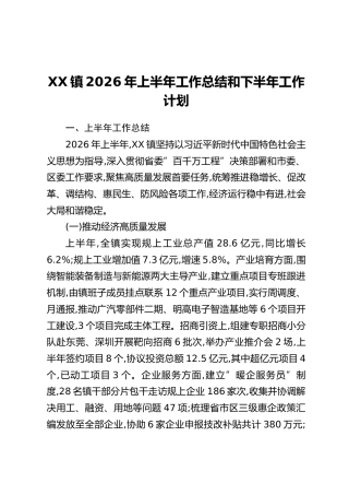 XX镇2026年上半年工作总结和下半年工作计划