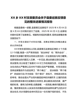XX乡XX村支部委员会关于县委巡察反馈意见的整改进展情况报告