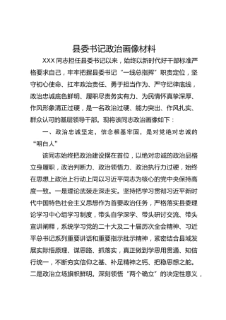 县委书记政治画像材料
