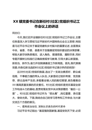 XX镇党委书记在新任村（社区）党组织书记工作会议上的讲话