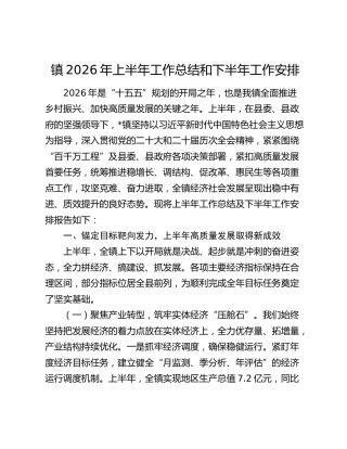 镇2026年上半年工作总结和下半年工作安排