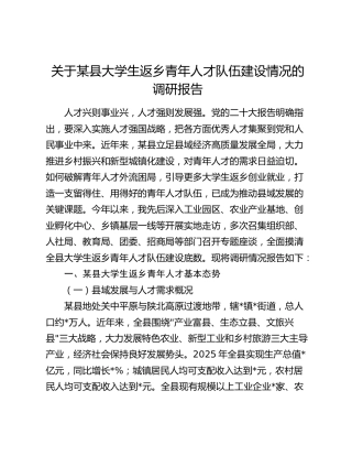 县大学生返乡青年人才队伍建设情况的调研报告