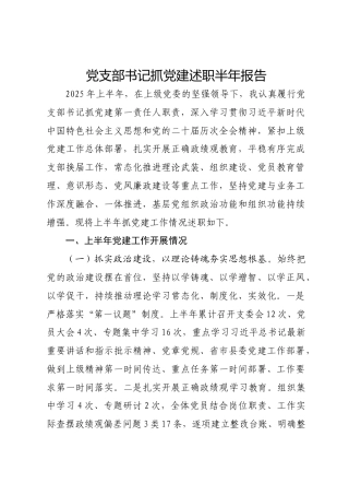 党支部书记抓党建述职半年报告