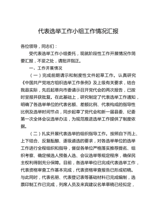 代表选举工作小组工作情况汇报