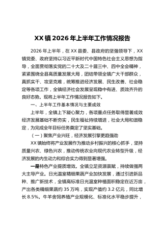 XX镇2026年上半年工作情况报告_1