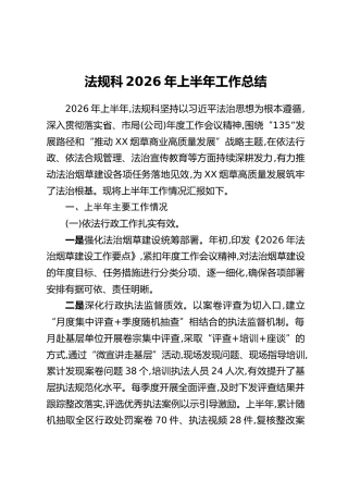 法规科2026年上半年工作总结