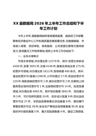 XX县数据局2026年上半年工作总结和下半年工作计划