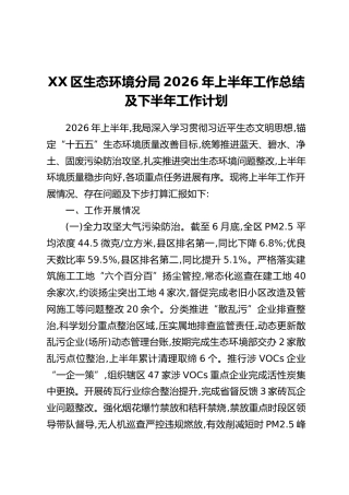 XX区生态环境分局2026年上半年工作总结及下半年工作计划