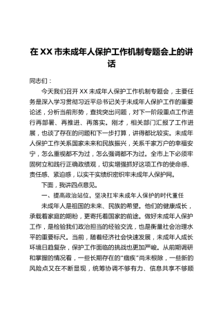 在XX市未成年人保护工作机制专题会上的讲话