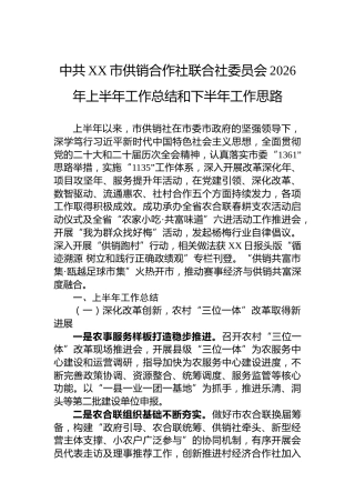 中共XX市供销合作社联合社委员会2026年上半年工作总结和下半年工作思路