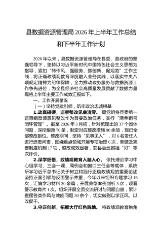 县数据资源管理局2026年上半年工作总结和下半年工作计划