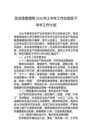 区应急管理局2026年上半年工作总结及下半年工作计划