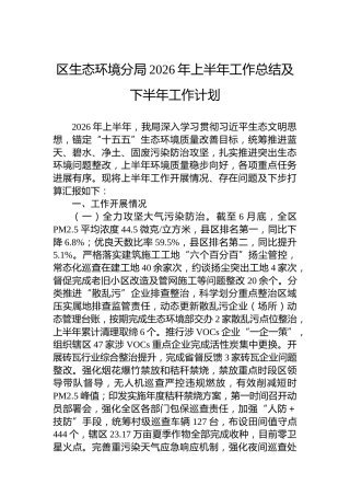 区生态环境分局2026年上半年工作总结及下半年工作计划