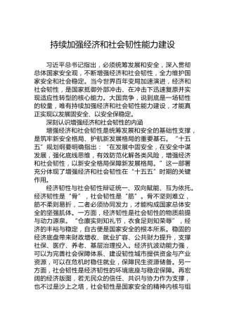 持续加强经济和社会韧性能力建设