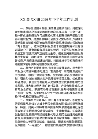 XX县XX镇2026年下半年工作计划