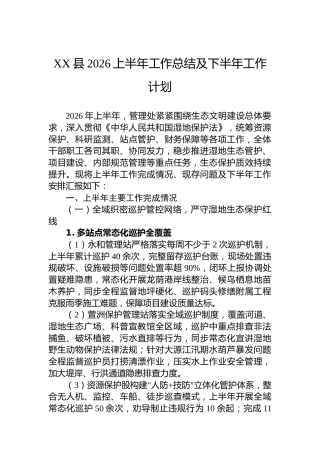 XX县2026上半年工作总结及下半年工作计划