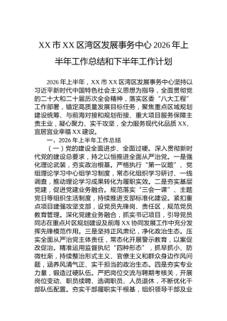 XX市XX区湾区发展事务中心2026年上半年工作总结和下半年工作计划
