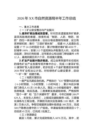 2026年XX市自然资源局半年工作总结