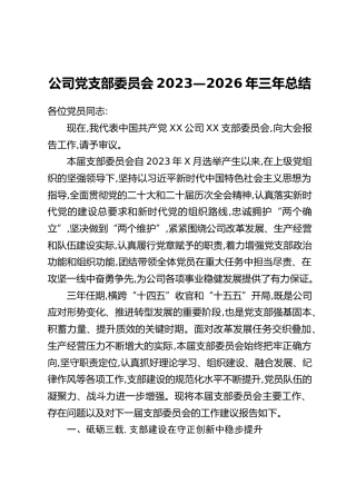 公司党支部委员会2023—2026年三年总结