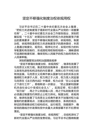 坚定不移强化制度治权依规用权