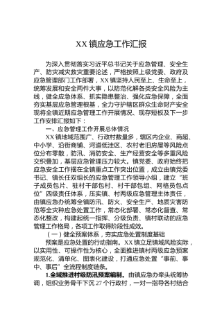 XX镇应急工作汇报