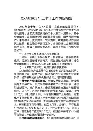 XX镇2026年上半年工作情况报告