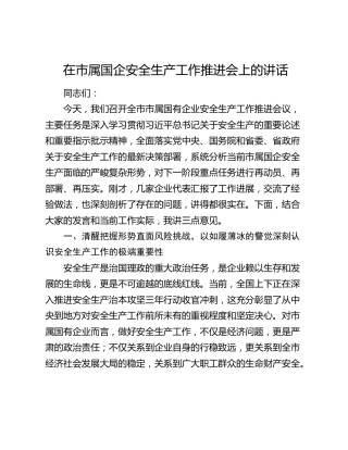 在市属国企公司安全生产工作推进会上的讲话