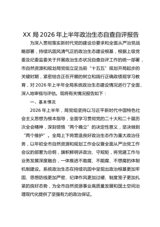 XX 局2026年上半年政治生态自查自评报告