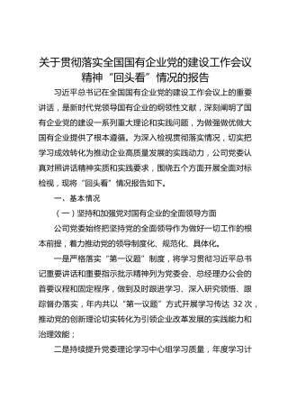 关于贯彻落实全国国有企业党的建设工作会议精神 “回头看” 情况的报告
