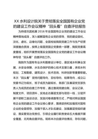 XX水利设计院关于贯彻落实全国国有企业党的建设工作会议精神“回头看”自查评估报告1