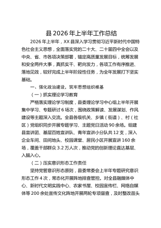 县2026年上半年工作总结