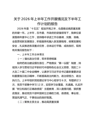 关于2026年上半年工作开展情况及下半年工作计划的报告