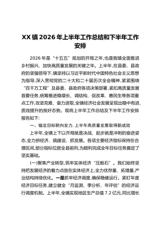 XX镇2026年上半年工作总结和下半年工作安排