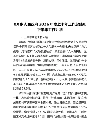 XX乡人民政府2026年度上半年工作总结和下半年工作计划