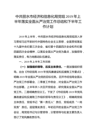 中共丽水市经济和信息化局党组2019年上半年落实全面从严治党工作总结和下半年工作计划