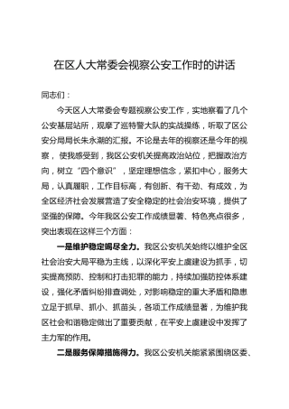 在区人大常委会视察公安工作时的讲话