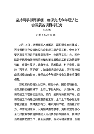 林彬杨：坚持两手抓两手硬，确保完成今年经济社会发展各项目标任务